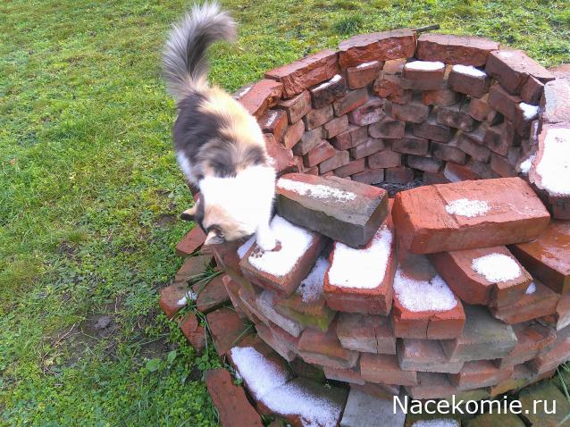 Eva1949 - Дом мечты-души моей воспоминания; 1Abrikoska - Мой гостеприимный дом