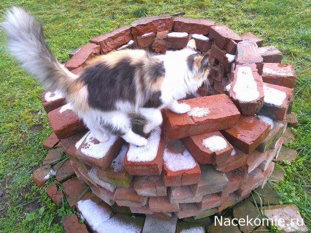 Eva1949 - Дом мечты-души моей воспоминания; 1Abrikoska - Мой гостеприимный дом