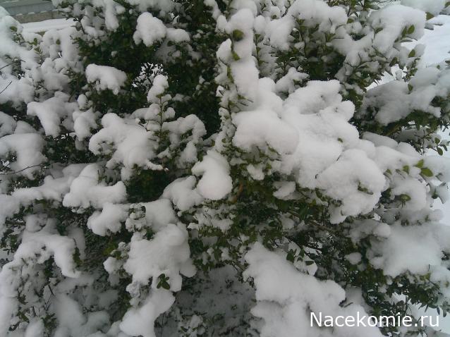 Мой любимый город или дорогие сердцу места