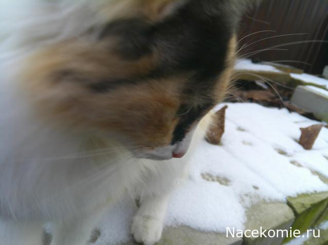 Eva1949 - Дом мечты-души моей воспоминания; 1Abrikoska - Мой гостеприимный дом