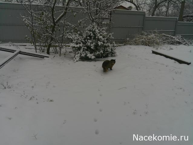 Eva1949 - Дом мечты-души моей воспоминания; 1Abrikoska - Мой гостеприимный дом