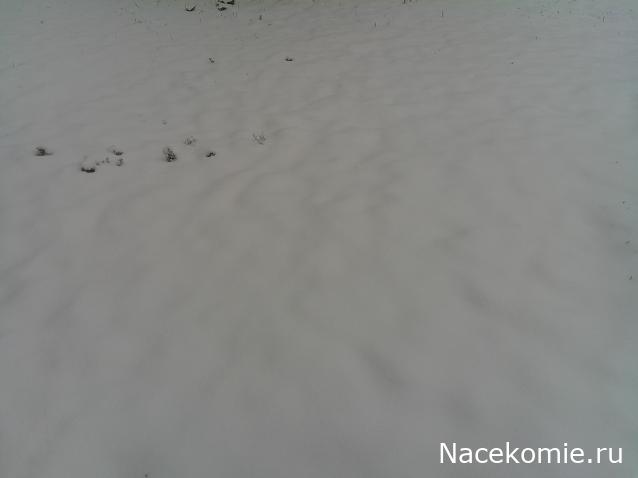 Eva1949 - Дом мечты-души моей воспоминания; 1Abrikoska - Мой гостеприимный дом