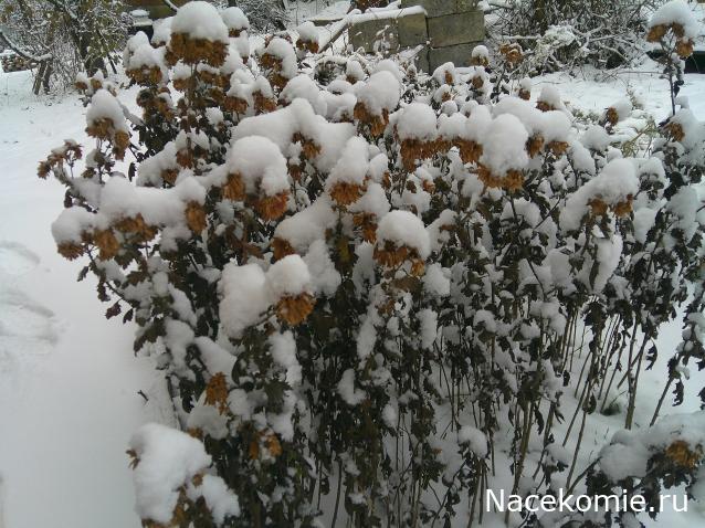 Мой любимый город или дорогие сердцу места