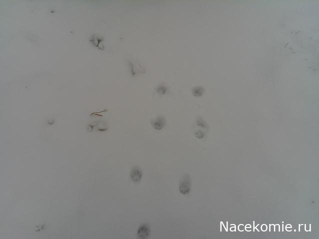 Eva1949 - Дом мечты-души моей воспоминания; 1Abrikoska - Мой гостеприимный дом