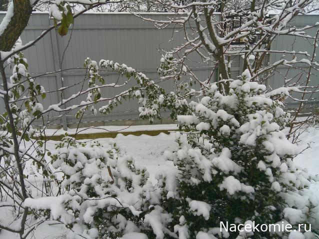 Мой любимый город или дорогие сердцу места