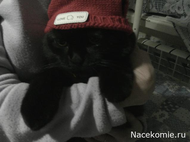 Eva1949 - Дом мечты-души моей воспоминания; 1Abrikoska - Мой гостеприимный дом