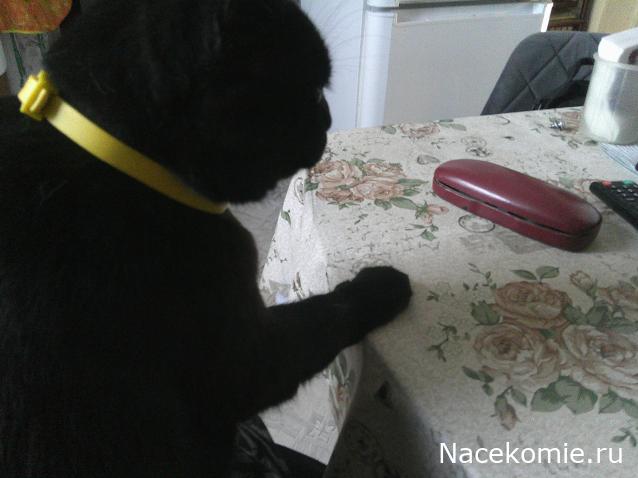 Eva1949 - Дом мечты-души моей воспоминания; 1Abrikoska - Мой гостеприимный дом