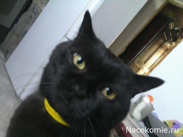 Eva1949 - Дом мечты-души моей воспоминания; 1Abrikoska - Мой гостеприимный дом