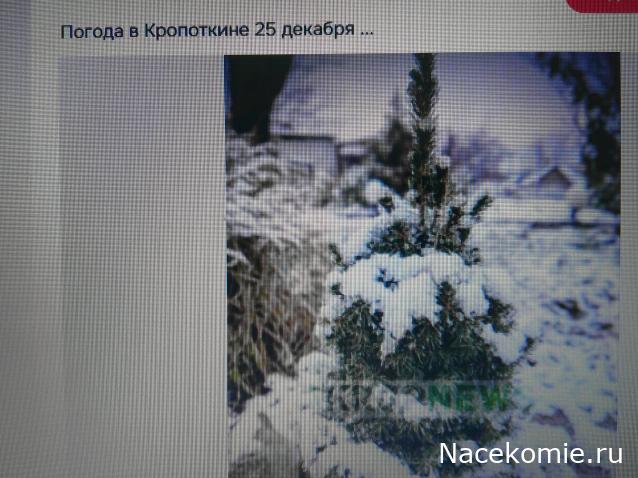 Eva1949 - Дом мечты-души моей воспоминания; 1Abrikoska - Мой гостеприимный дом