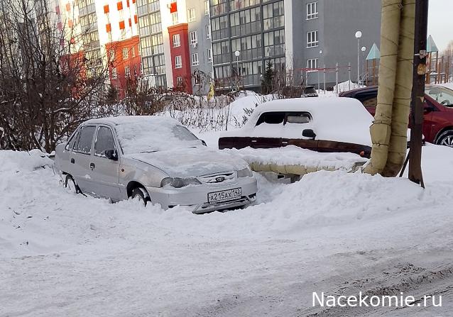 Автолегенды вживую