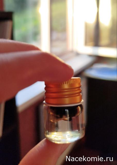 Коллекция zhuki