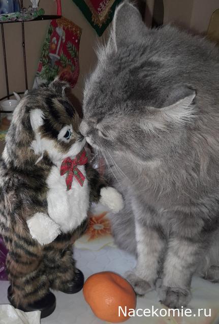 Liana65-Snegana - Мой будущий дом и его обитатели.