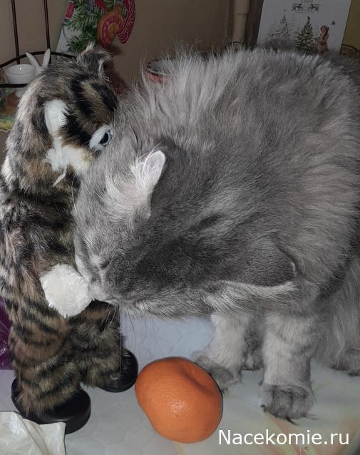 Liana65-Snegana - Мой будущий дом и его обитатели.