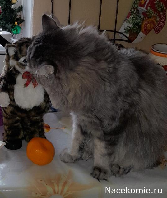 Liana65-Snegana - Мой будущий дом и его обитатели.