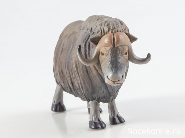 Дикие животные России (MODIMIO)