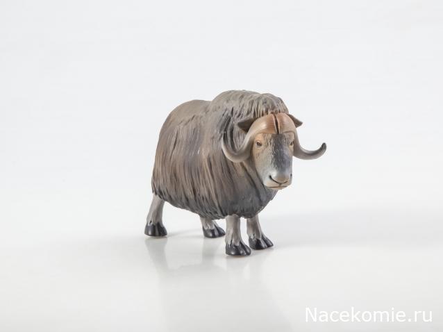 Дикие животные России (MODIMIO)