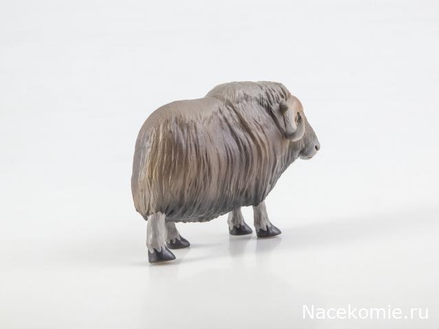 Дикие животные России (MODIMIO)