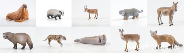 Дикие животные России (MODIMIO)