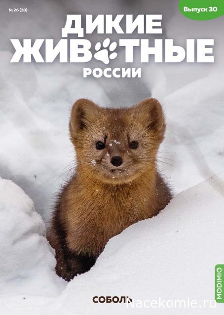 Дикие животные России (MODIMIO)