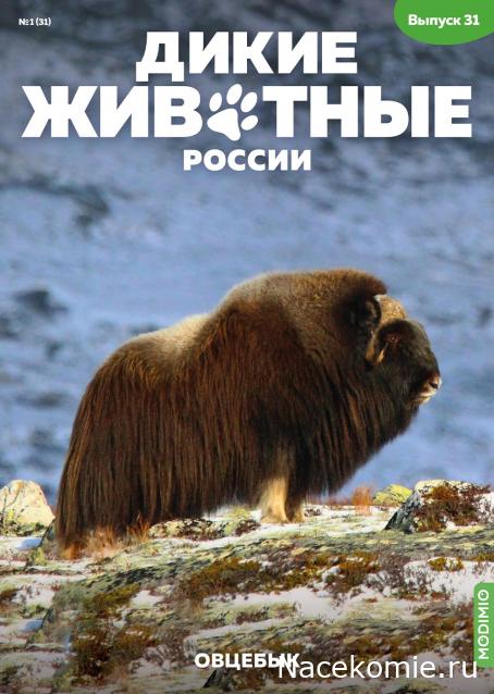 Дикие животные России (MODIMIO)