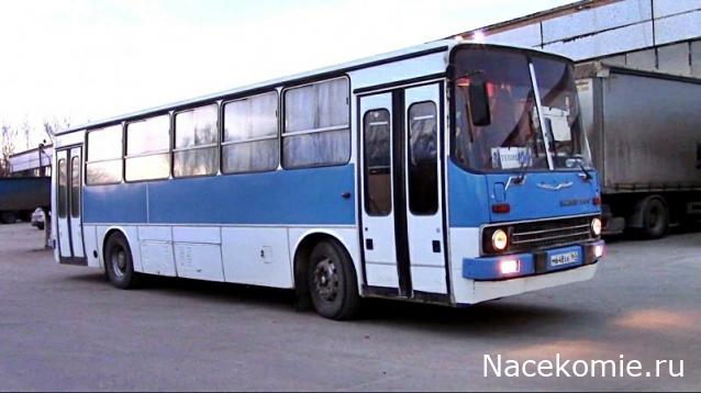 Наши Автобусы №81 - Икарус-260.51