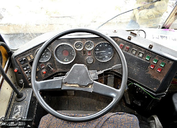 Наши Автобусы №81 - Икарус-260.51