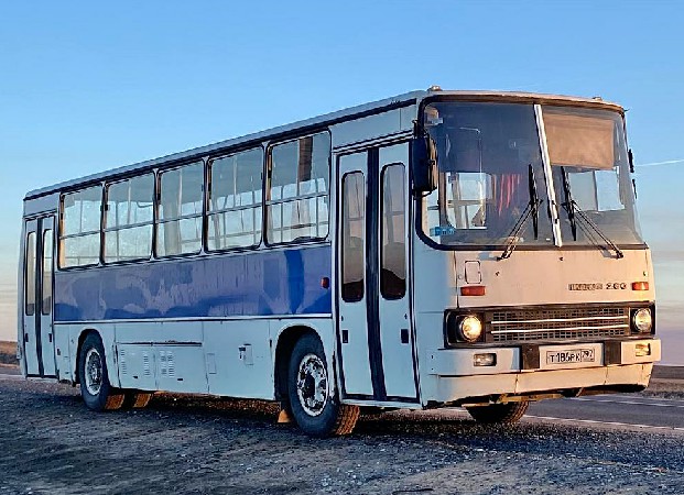 Наши Автобусы №81 - Икарус-260.51