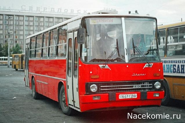 Наши Автобусы №81 - Икарус-260.51