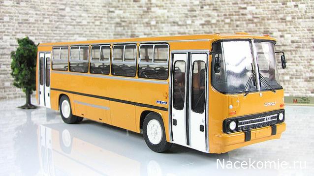 Наши Автобусы №81 - Икарус-260.51