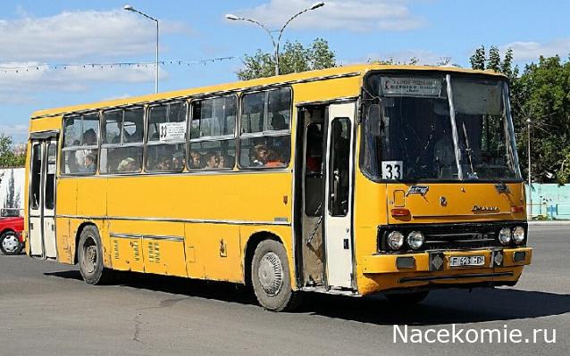 Наши Автобусы №81 - Икарус-260.51