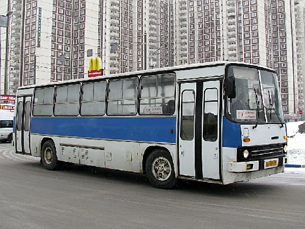 Наши Автобусы №81 - Икарус-260.51