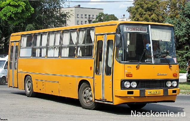 Наши Автобусы №81 - Икарус-260.51