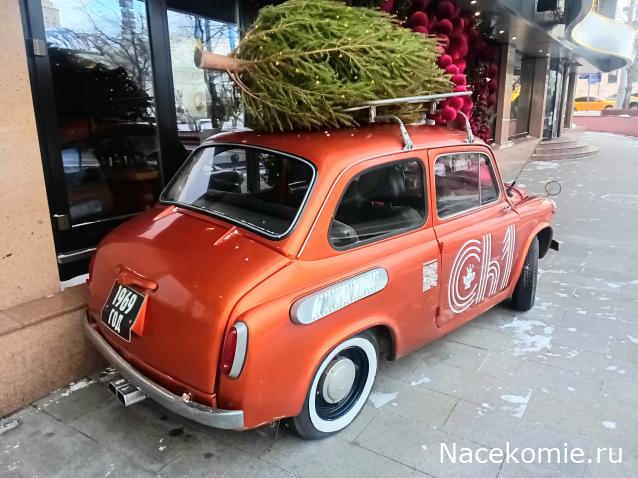 Автолегенды вживую