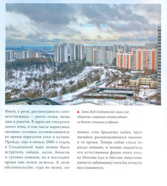 Усадьбы России: судьбы, архитектура, вдохновение