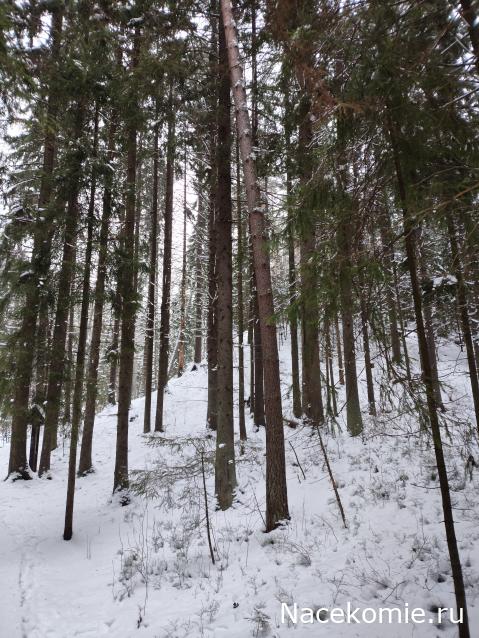 Мой любимый город или дорогие сердцу места