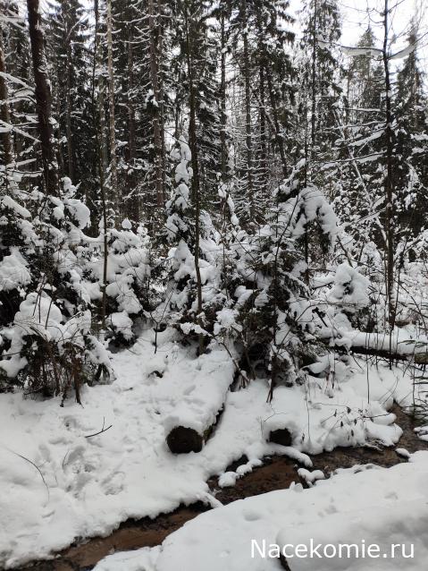 Мой любимый город или дорогие сердцу места