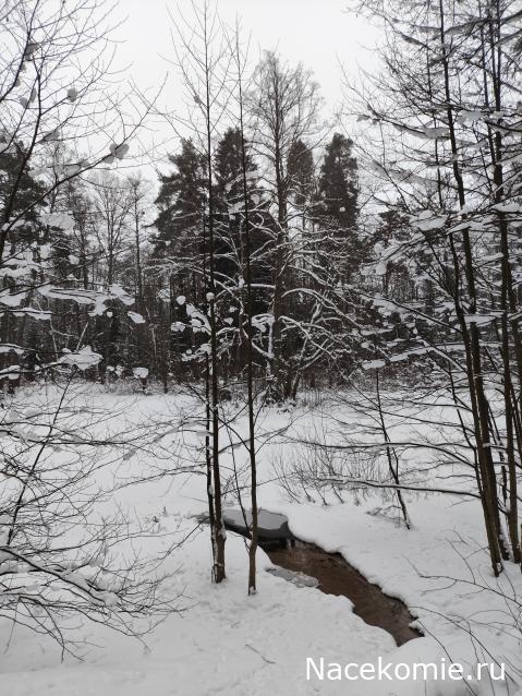 Мой любимый город или дорогие сердцу места