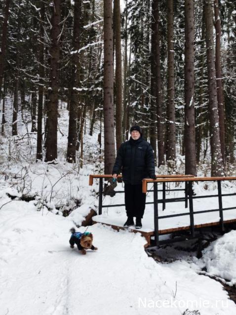 "Живой уголок"