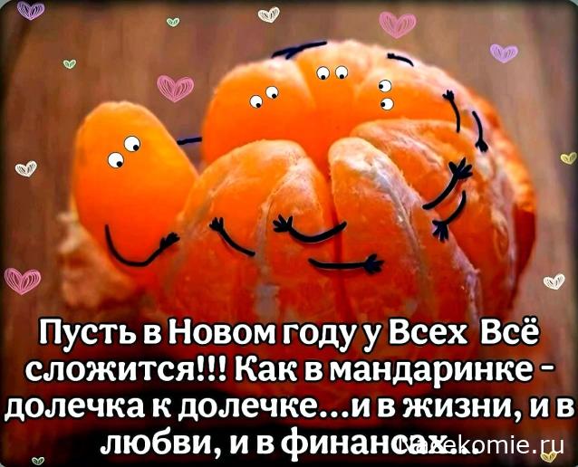 Liana65-Snegana - Мой будущий дом и его обитатели.