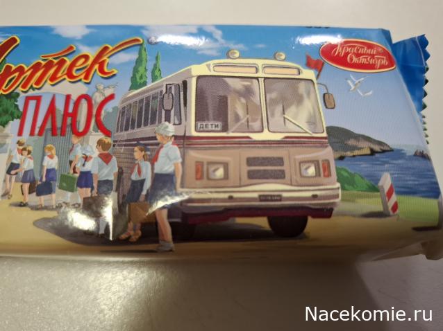 Околоавтобусная болталка