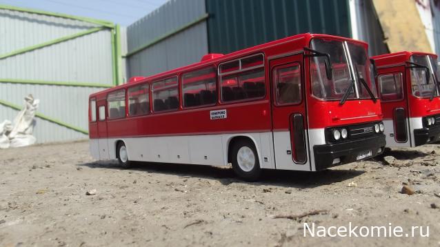 Наши Автобусы №18 - Икарус-250.59