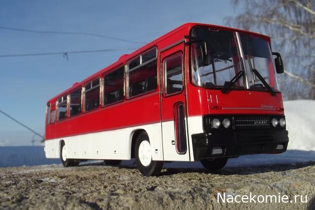 Наши Автобусы №18 - Икарус-250.59