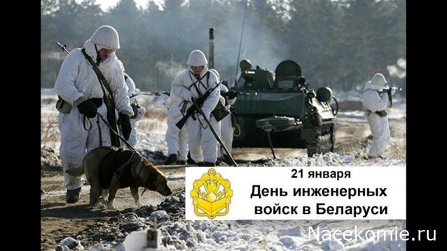 Праздник каждый день - поздравлялка Авторазделов