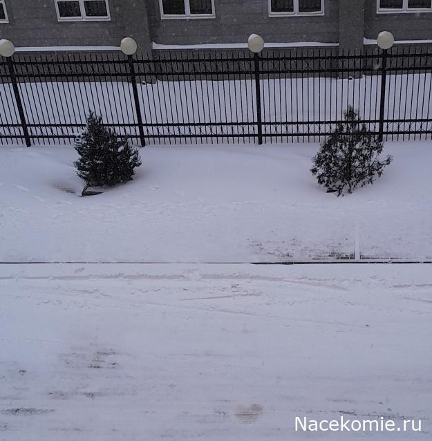 Liana65-Snegana - Мой будущий дом и его обитатели.