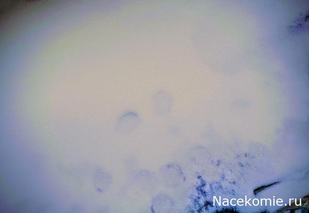 Liana65-Snegana - Мой будущий дом и его обитатели.