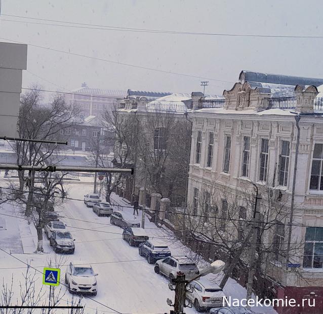 Liana65-Snegana - Мой будущий дом и его обитатели.