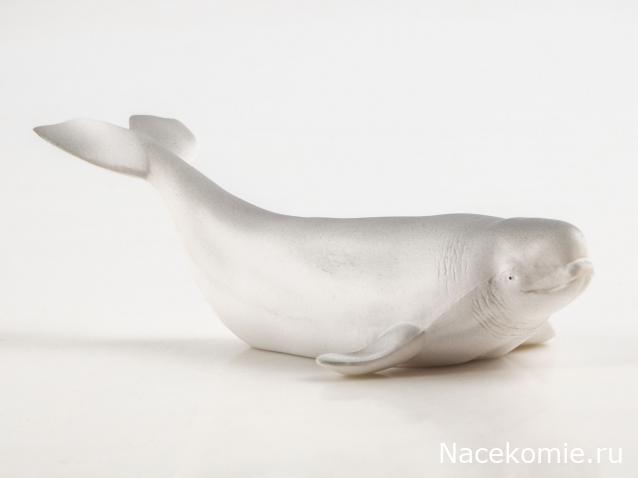 Дикие животные России (MODIMIO)