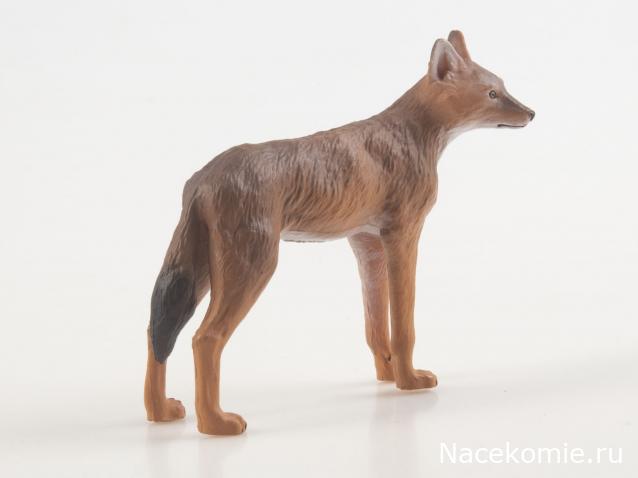 Дикие животные России (MODIMIO)