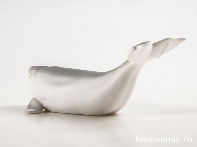 Дикие животные России (MODIMIO)