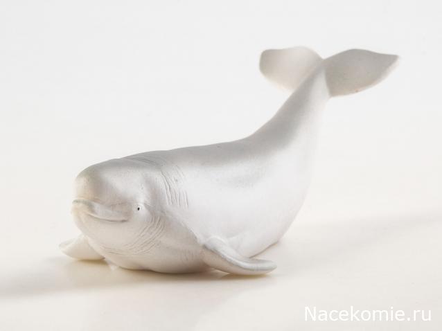 Дикие животные России (MODIMIO)